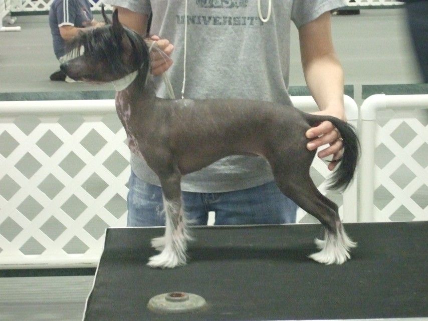 Ankhu's Can You Hear the Music