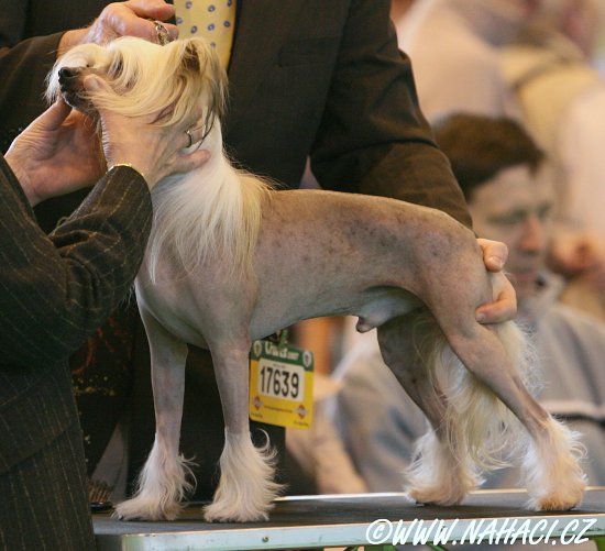 Kashi lets go commando at nisyros JW