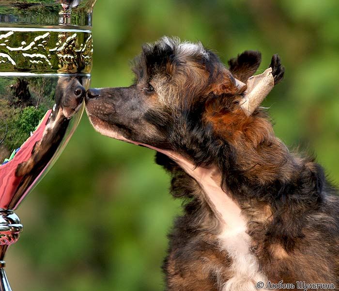 Aura Beauty Star Way