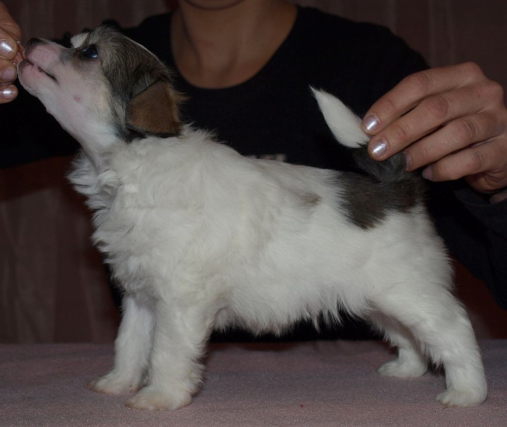 Chattanooga's Go Home E.T