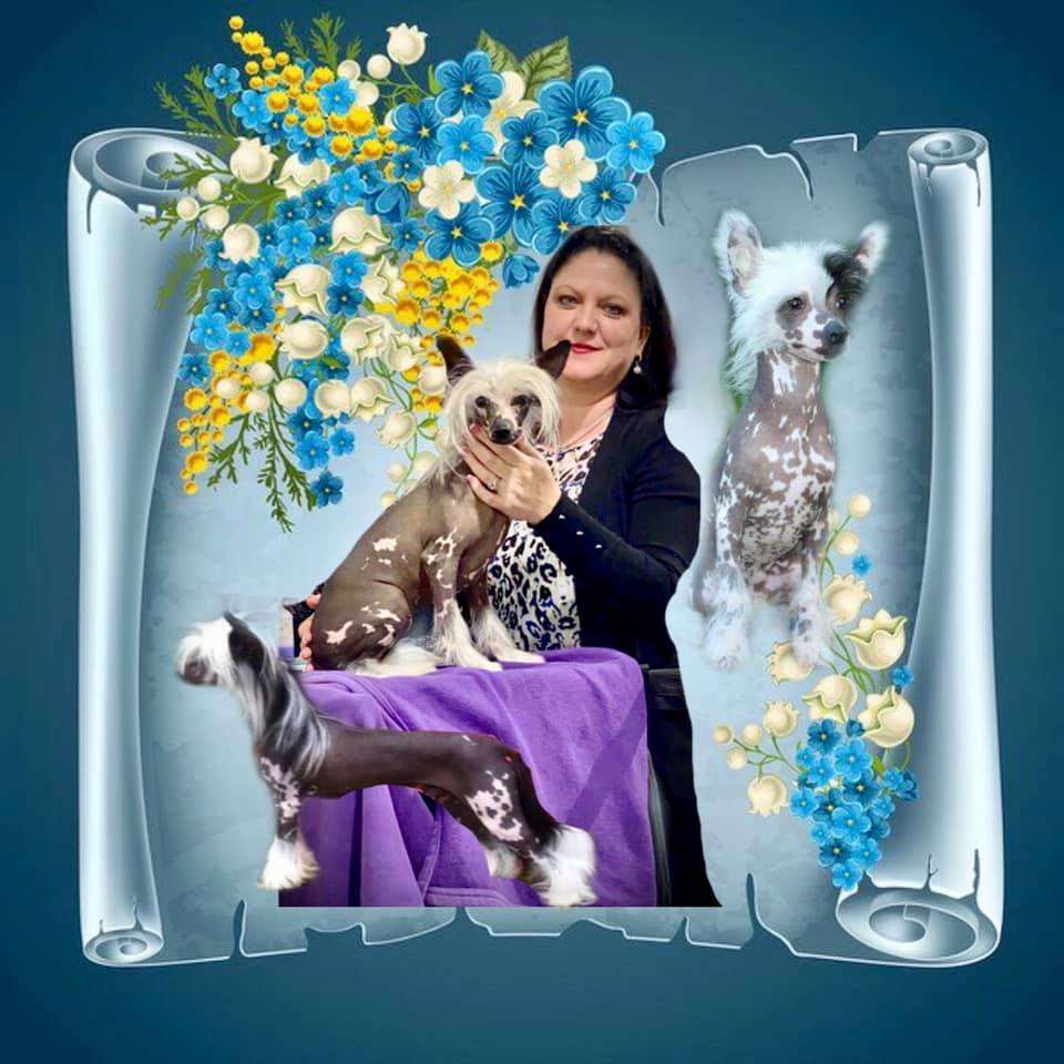 Rosebriar Kaylens Playing In The Rain