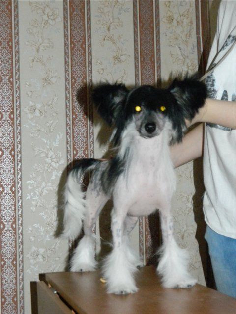 Picture