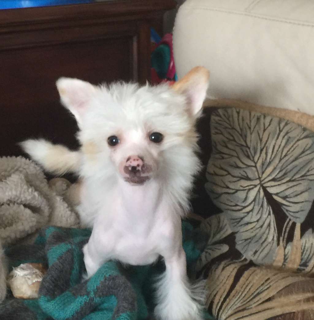 Gardine Not a One Hit Wonder