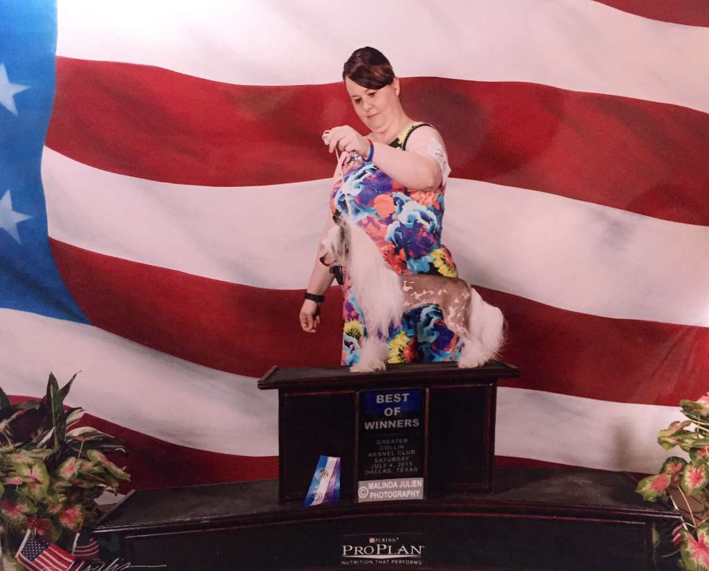 Shida Bling on the Glitter