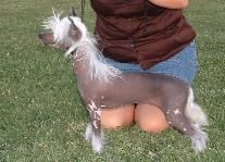 Creek's Crossing Cherokee Woman