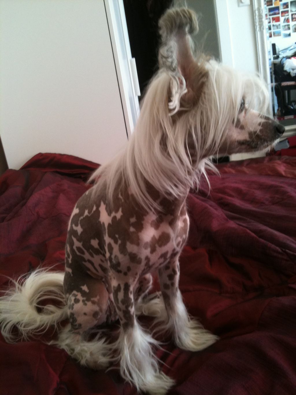 Flywheels' Lucky Raise