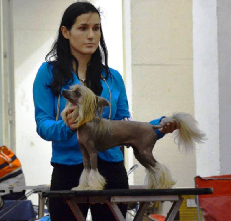 Rossi el Rey Mali Zmaj