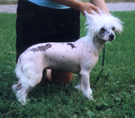 Joyway's Bubble Bobble