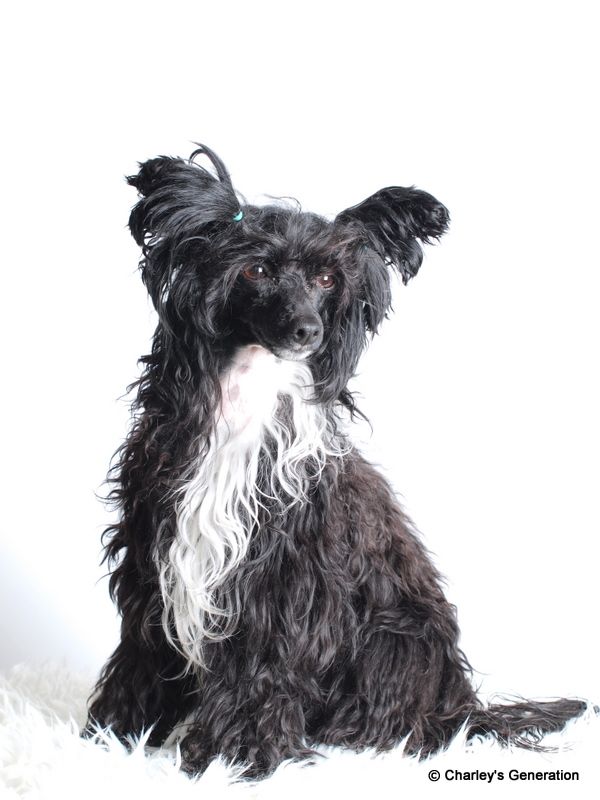 Chin Leacy of Laura's Home