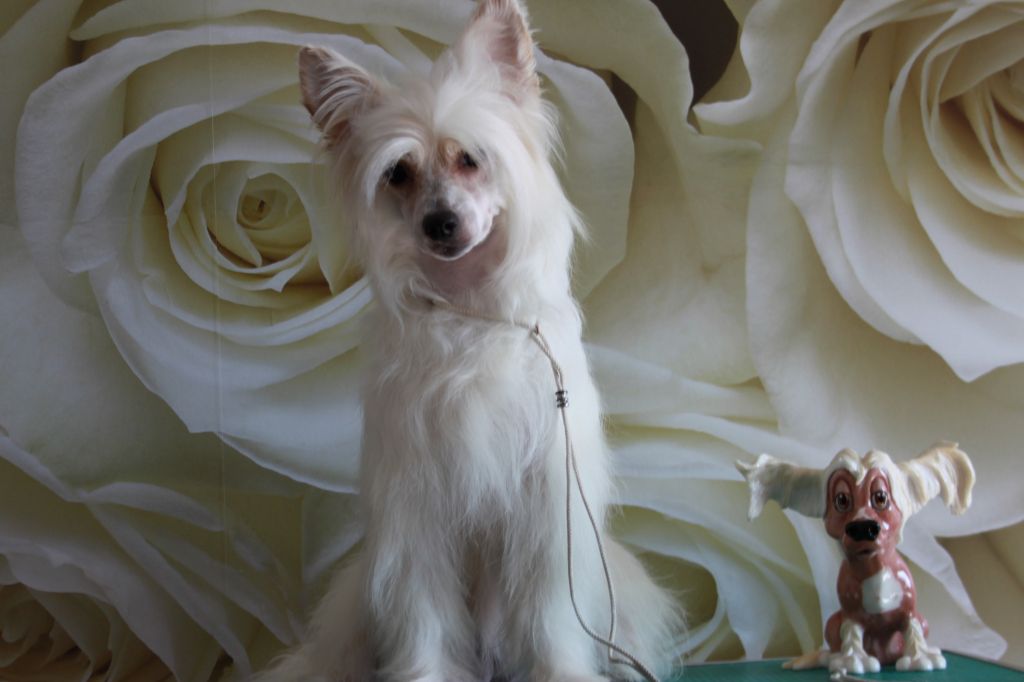 Unreal Krutbl Rapuncel' Zolotie Volosi