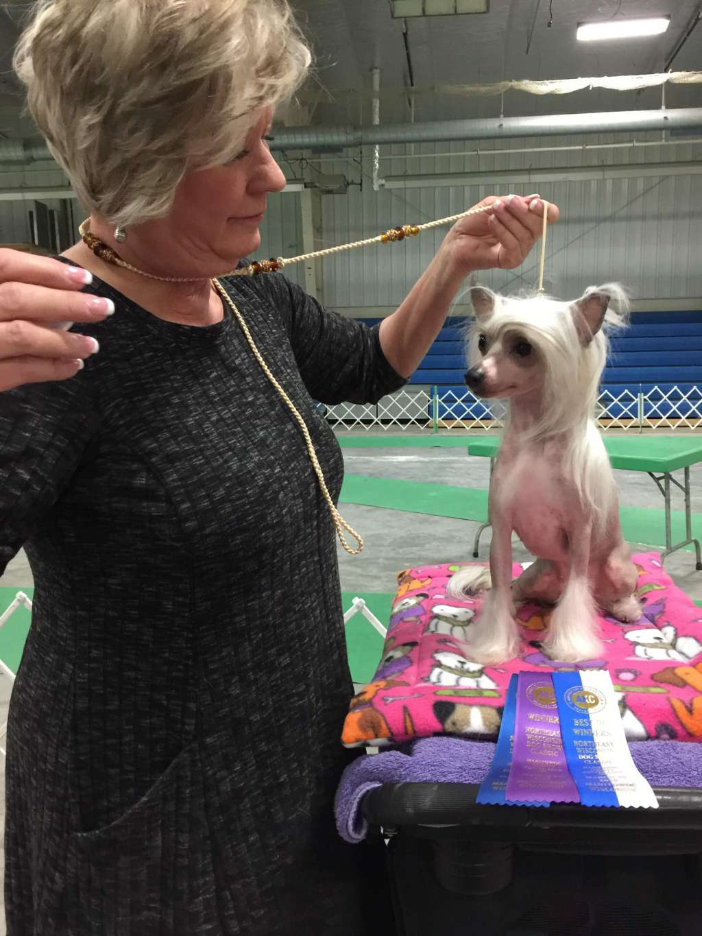 Zhen's Strategic Move