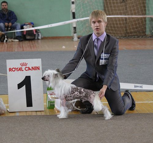 Nyu Art Avantjurist Magichesky Uspeh