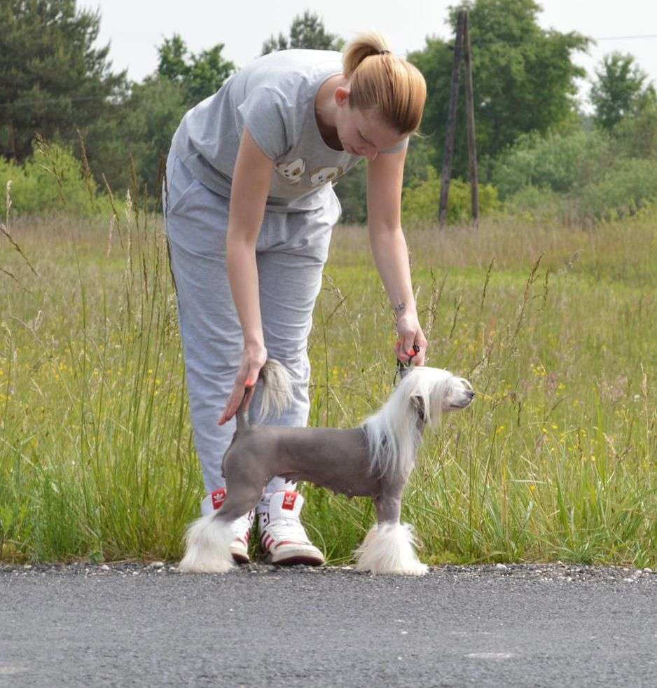 Fundoklia-völgyi Kaszanics Unique Legend