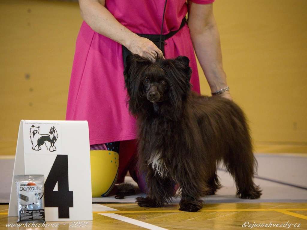 Jitrenka Milfra-Moravia