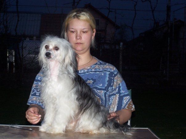 Stars at Sea Ground Ivy