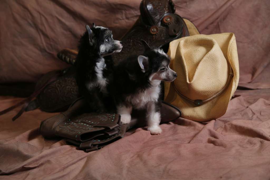 Cinondra's Walking On The Moon