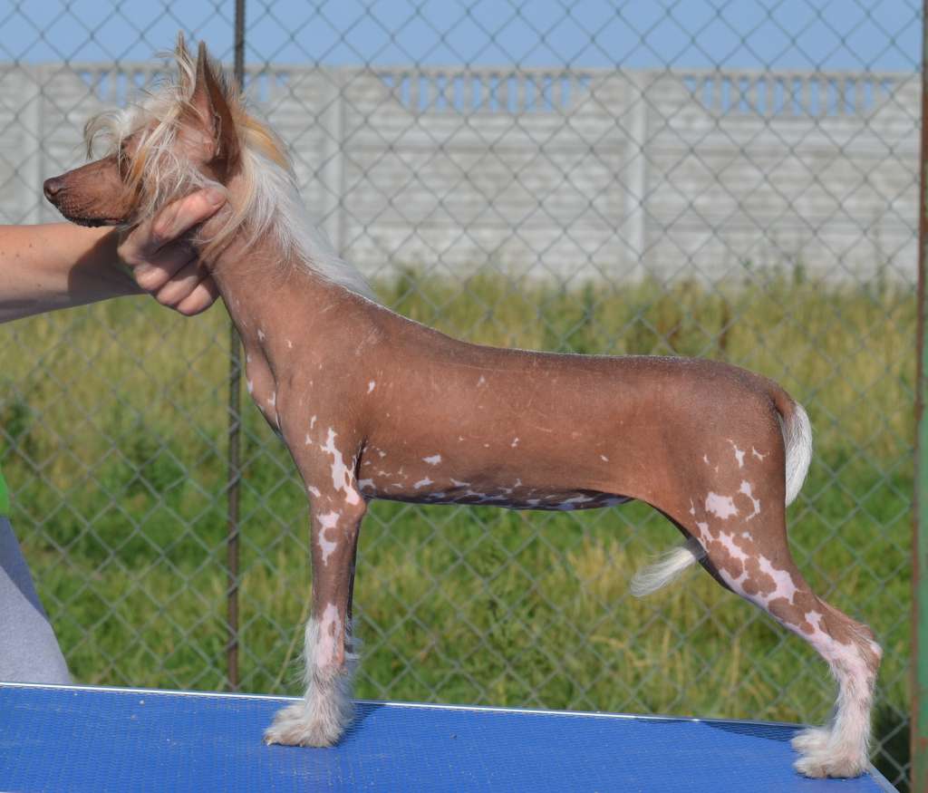 Ezhevichka iz Serebryanogo raya