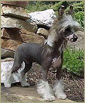 Prefer To Be Fancy N Co.