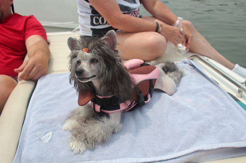 Creekside's Everclear