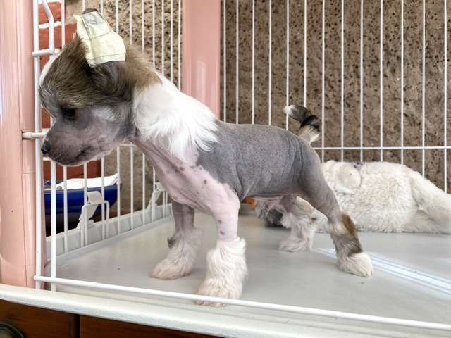 Unique Point von Shinbashi