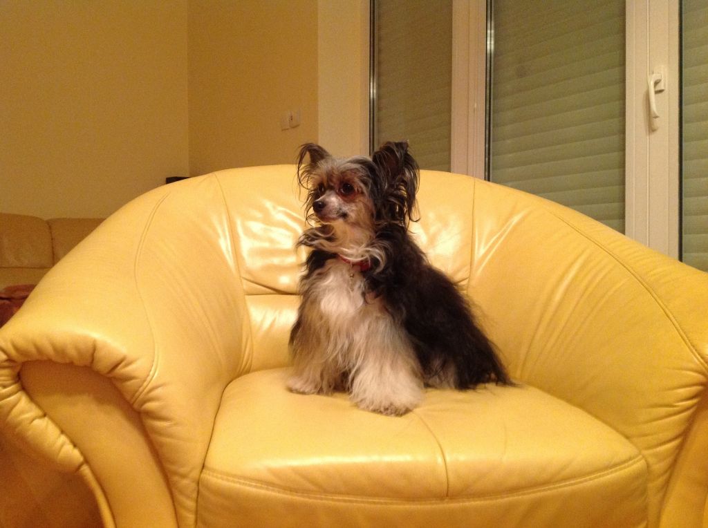 Tuti-Fruti Capo-Vaticano