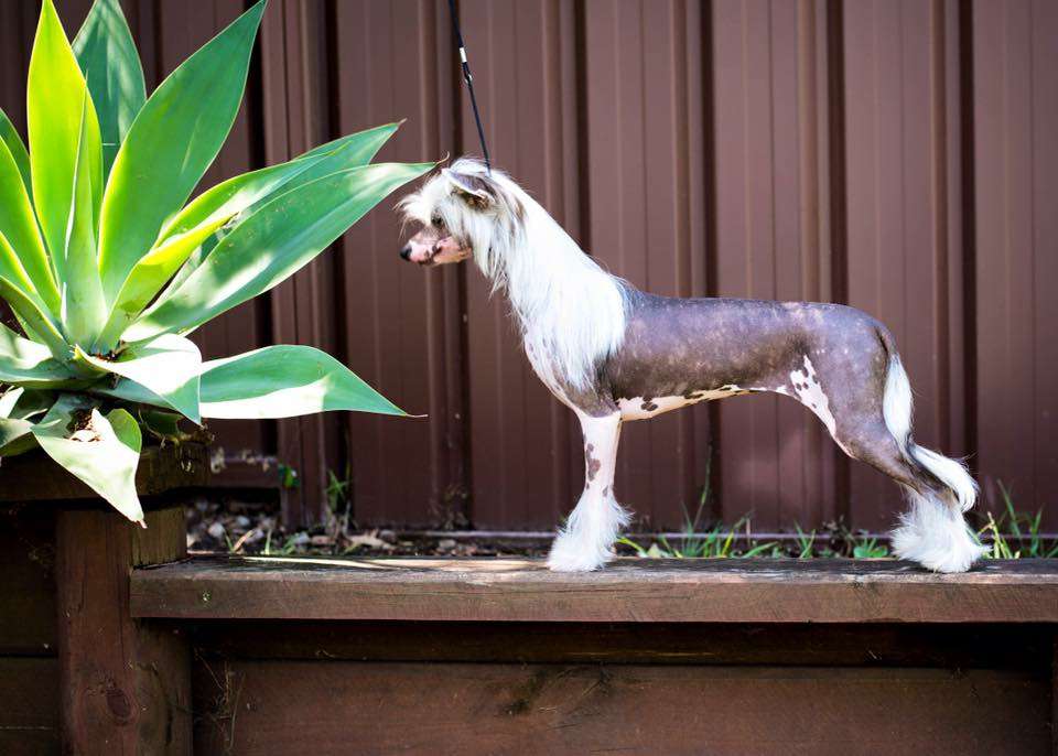 Sanyati Full Moon Rising