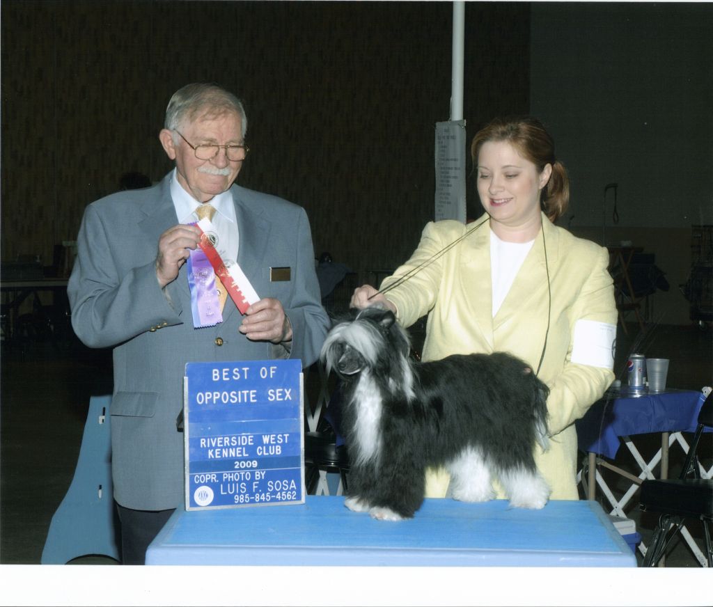 Apache's Little Miss Can't Do Wrong