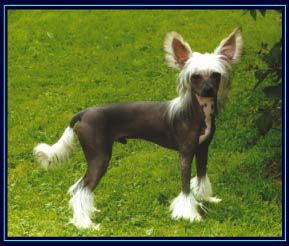 Omegaville For The Stars