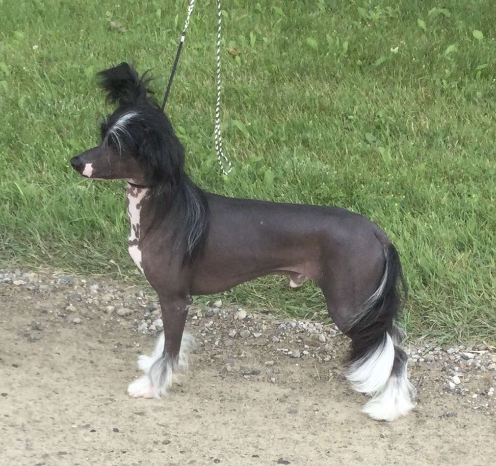 Jean Dark X Is Coming