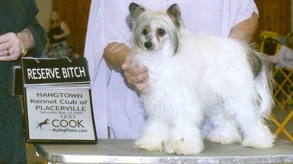 Sundown's Treasure Of Famfair