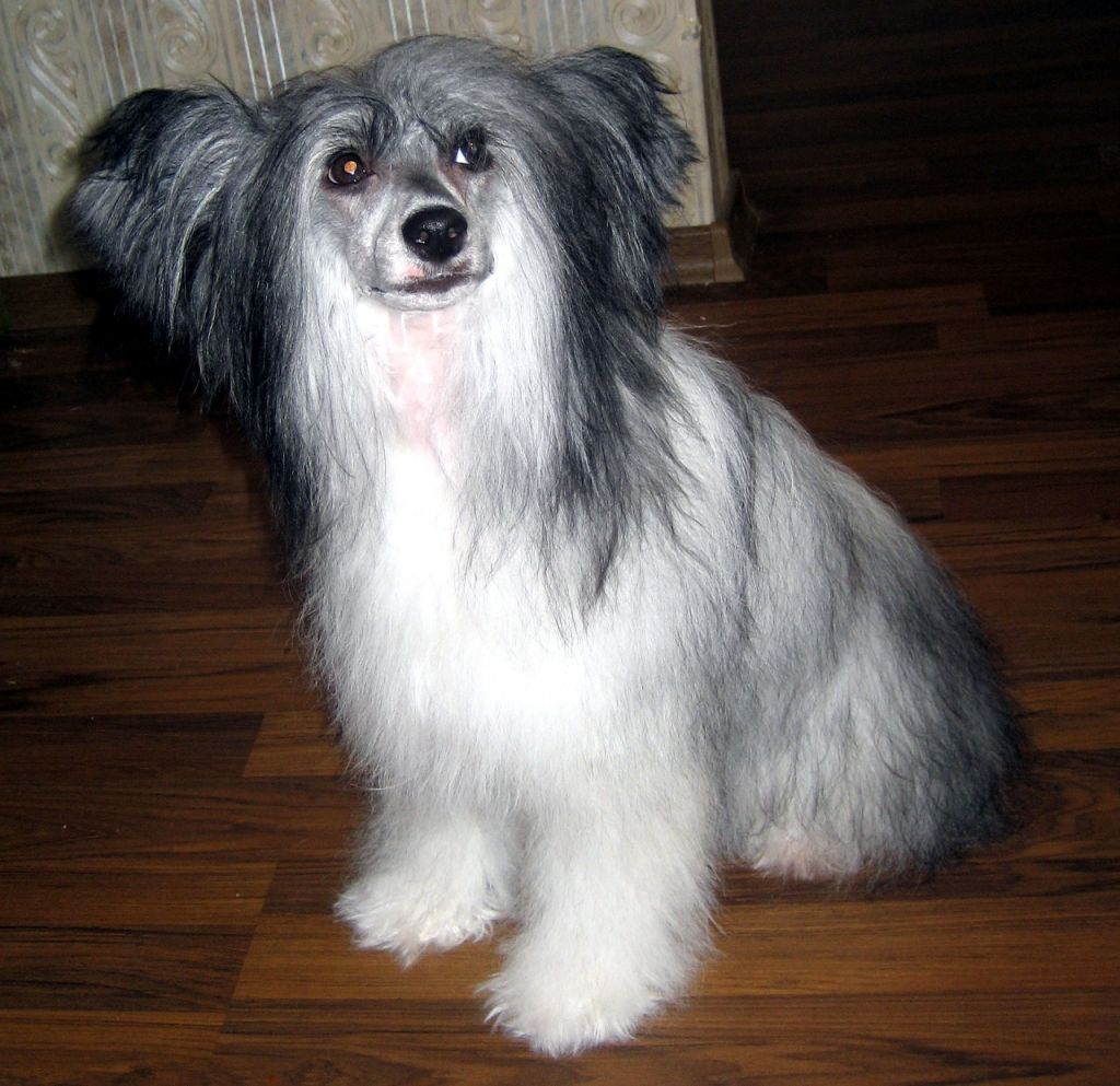 Rosabella Nataki Fanrock