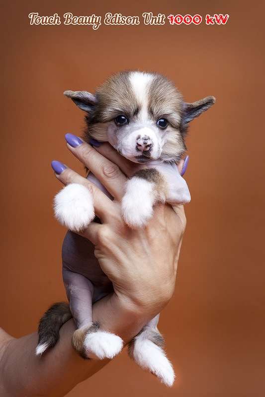 Touch Beauty Edison Unit 1000 kW
