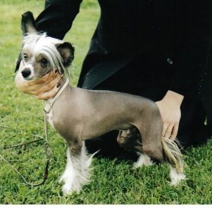 Crestwood By All Means