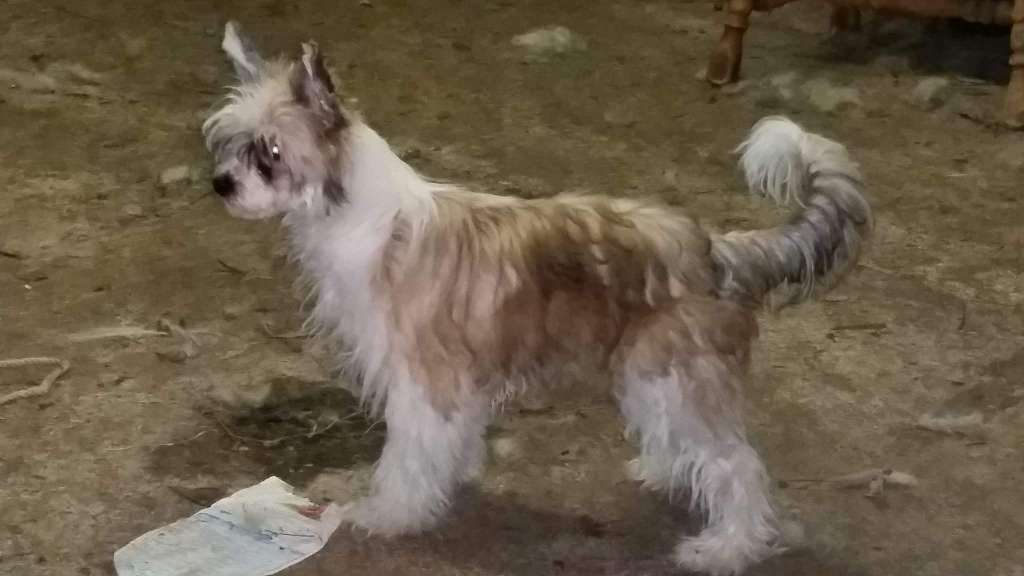 Magnolia's Skinny Dippers Revenge