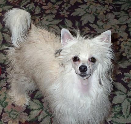 Bayshore It's All About Me