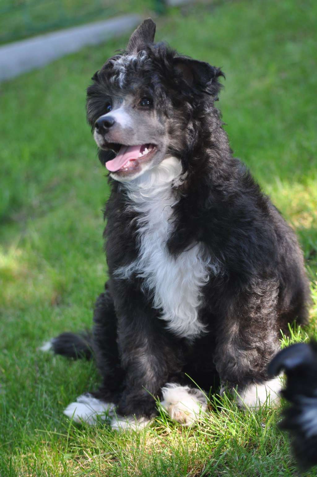 Arnold  Bel&Cataleia