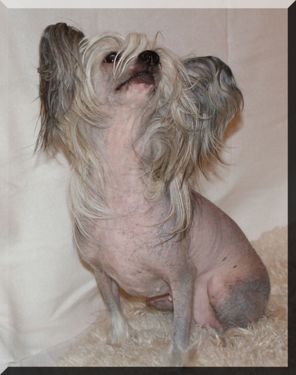 Eugenios View To A Kill