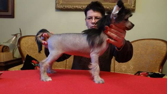 RUMBA z Lowickiego Ksiestwa