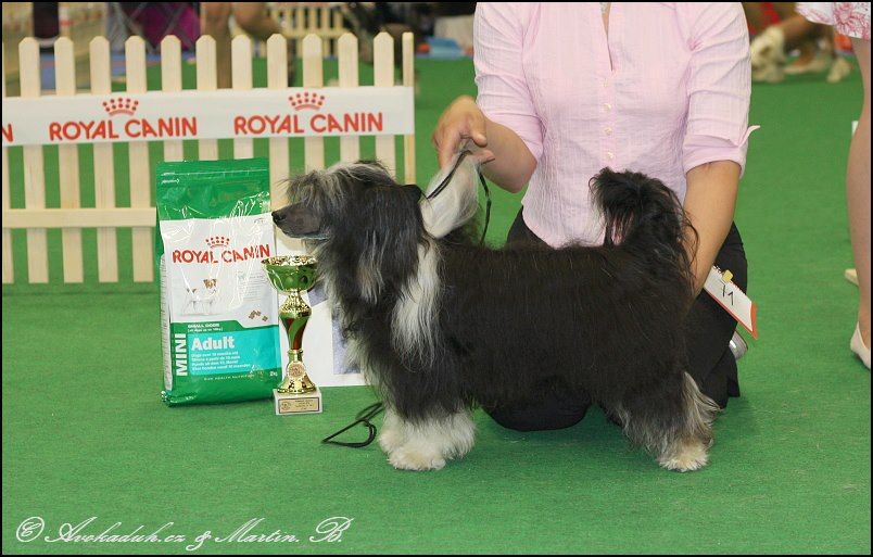 Picture