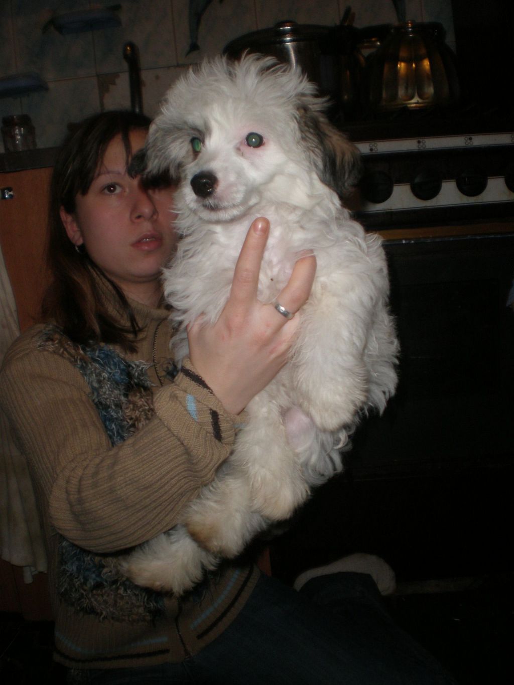 Picture