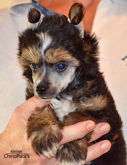 Picture