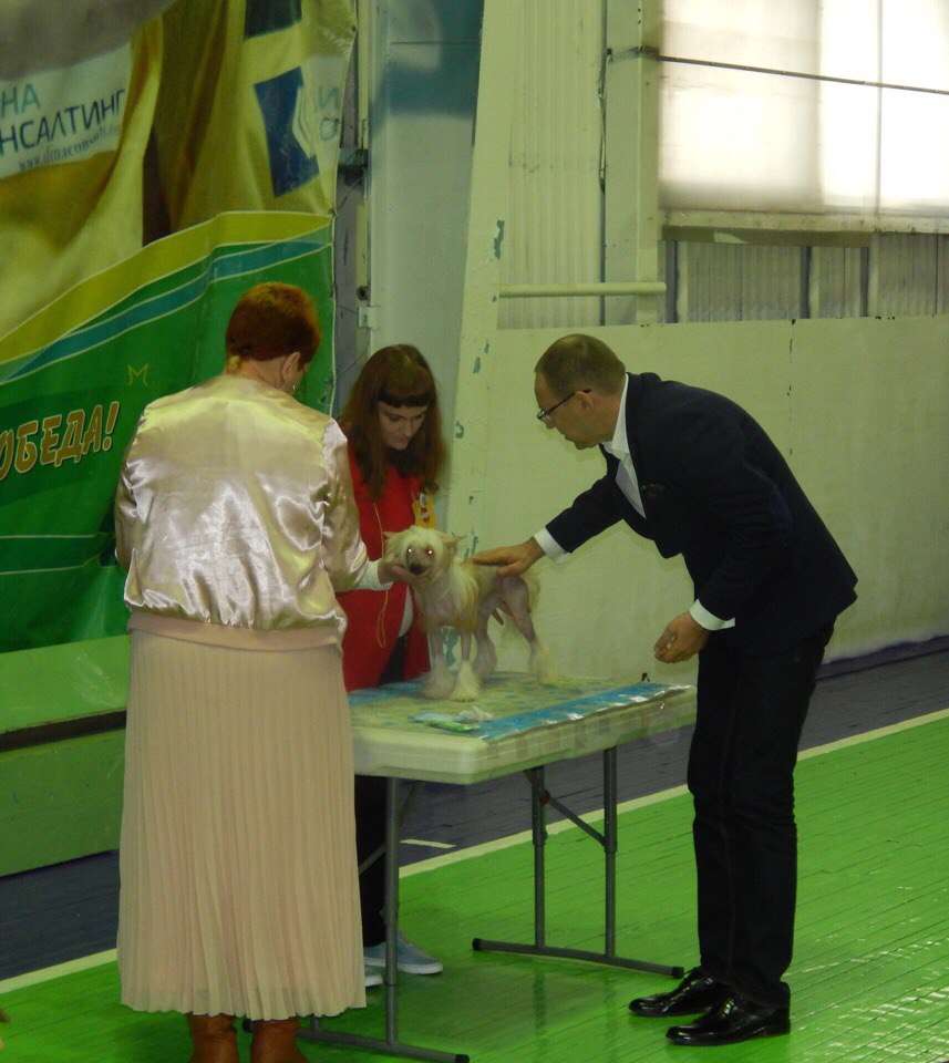 Picture