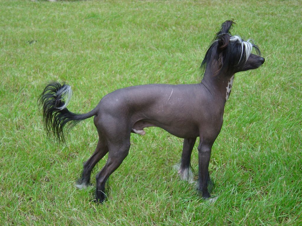 Special Edition Kind of Wonderfull