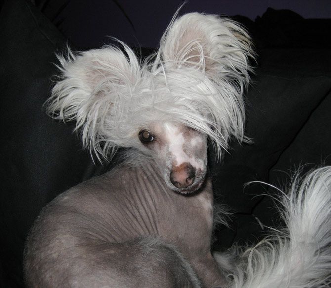 Kejsaren Av Kina Madicken