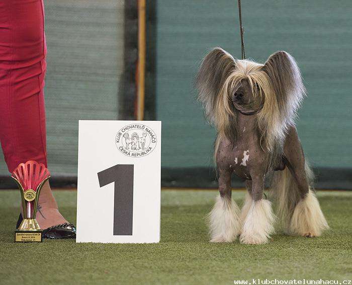 Emir z Pulnocního dvora