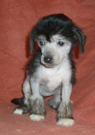 Uata Ua iz Zelenoy Roshi