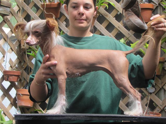 Unicorns Makes the Very Best