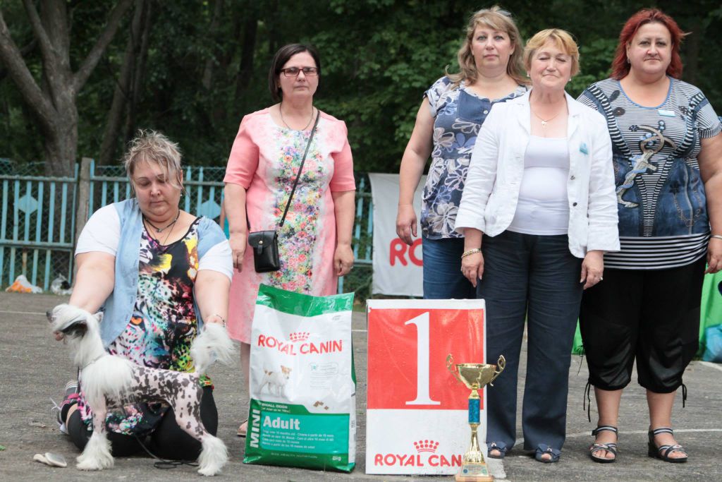 Zlato Dinastii Eric for Minodora