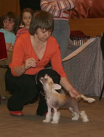 Picture