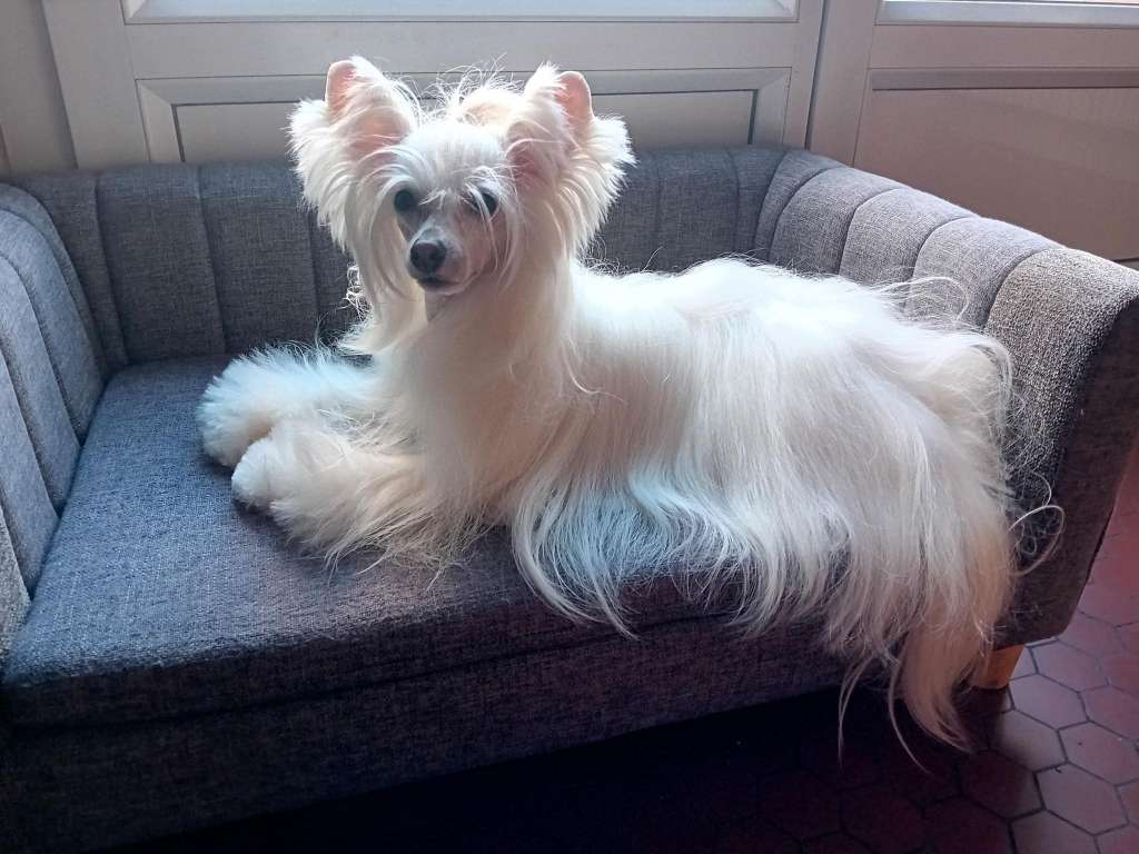 Séléné Little Champs